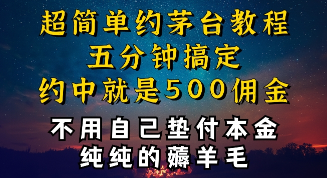 1712137252-71693b6ae23828e