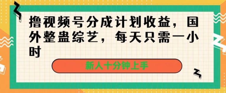dd19da8110ed654